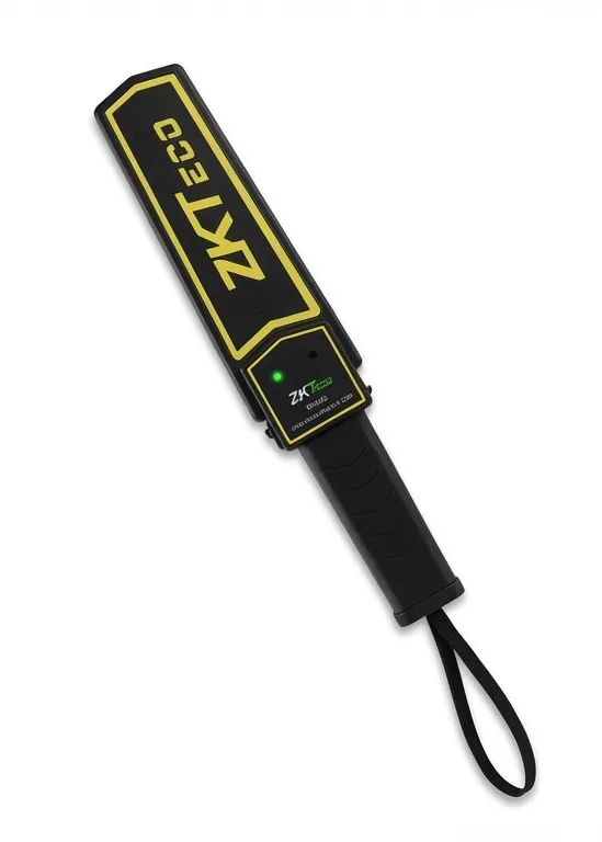 Détecteur de Métaux